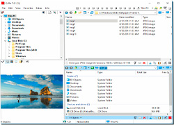 Software-Libre-Q-Dir
