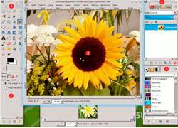 Software_Gimp