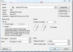 Software_Free_bullzipprinterprint