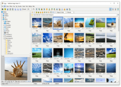 Software_Free_faststone